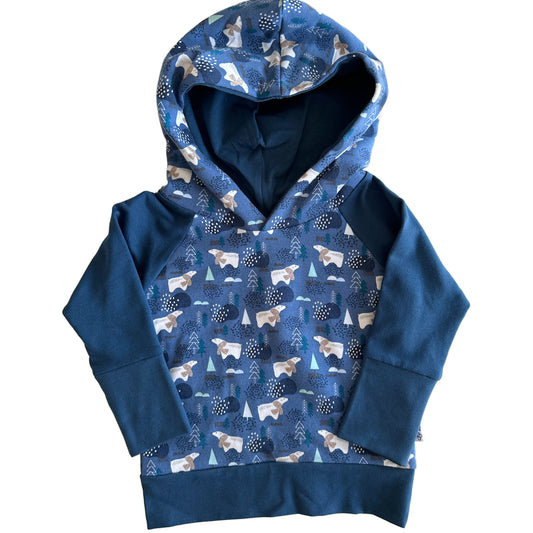 CLEARANCE Blue Bears Grow Along® Hooded Sweater Hoodie