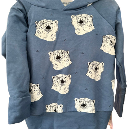 Blue Polar Bears 2-Piece Matching Hoodie Joggers Set Grow Along Babywear®