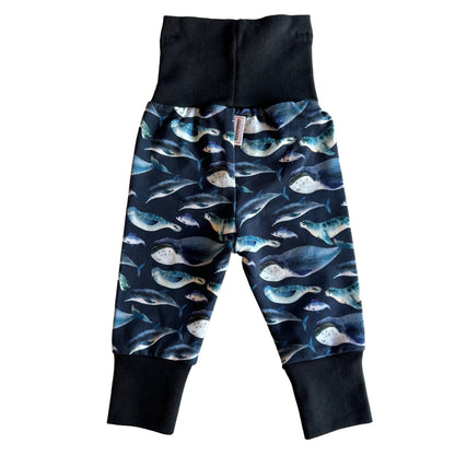Blue Whales & Seals 2-Piece Matching Hoodie Joggers Set Grow Along Babywear®