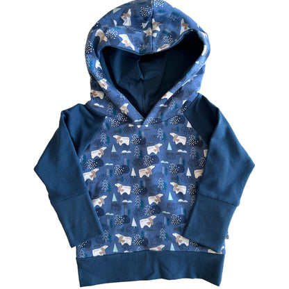 Blue Bears 2-Piece Matching Hoodie Joggers Set Grow Along Babywear®