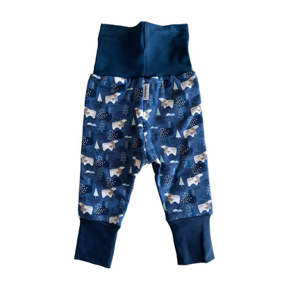 Blue Woodlands 2-Piece Matching Hoodie & Joggers Set Grow Along Babywear®