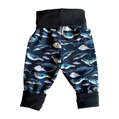 CLEARANCE Whales and Seals Growth Spurt Jogger Pants